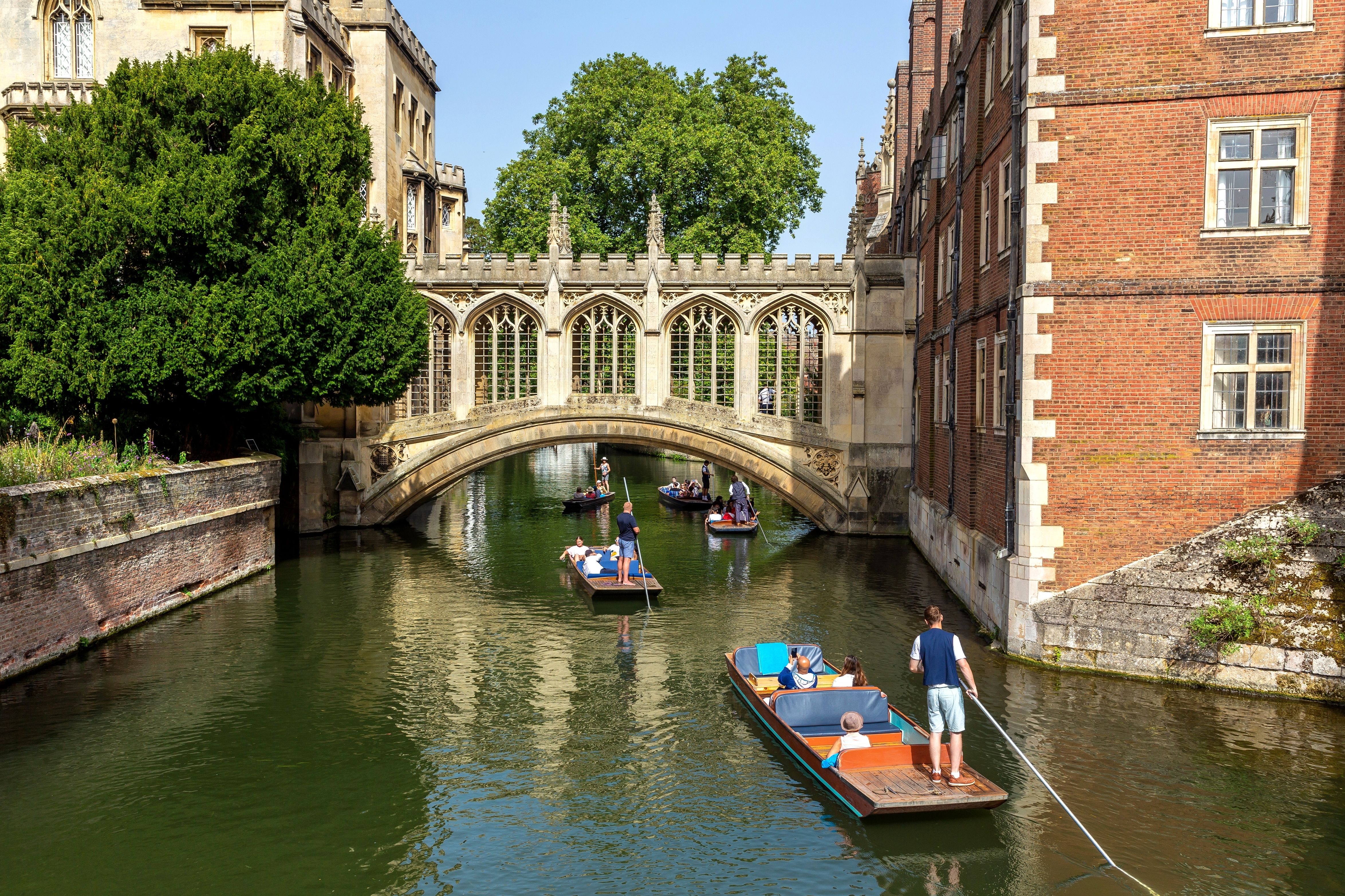 Are you more Oxford or Cambridge?